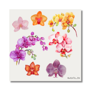 Cartela Adesivos Orquídeas